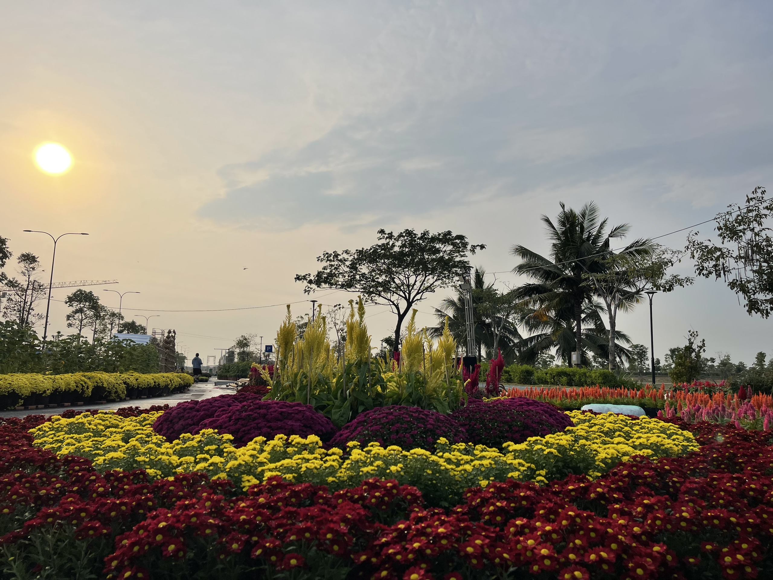 Đường hoa Waterpoint 2026: Hành trình sắc xuân “Trên bến dưới thuyền” - ảnh 2