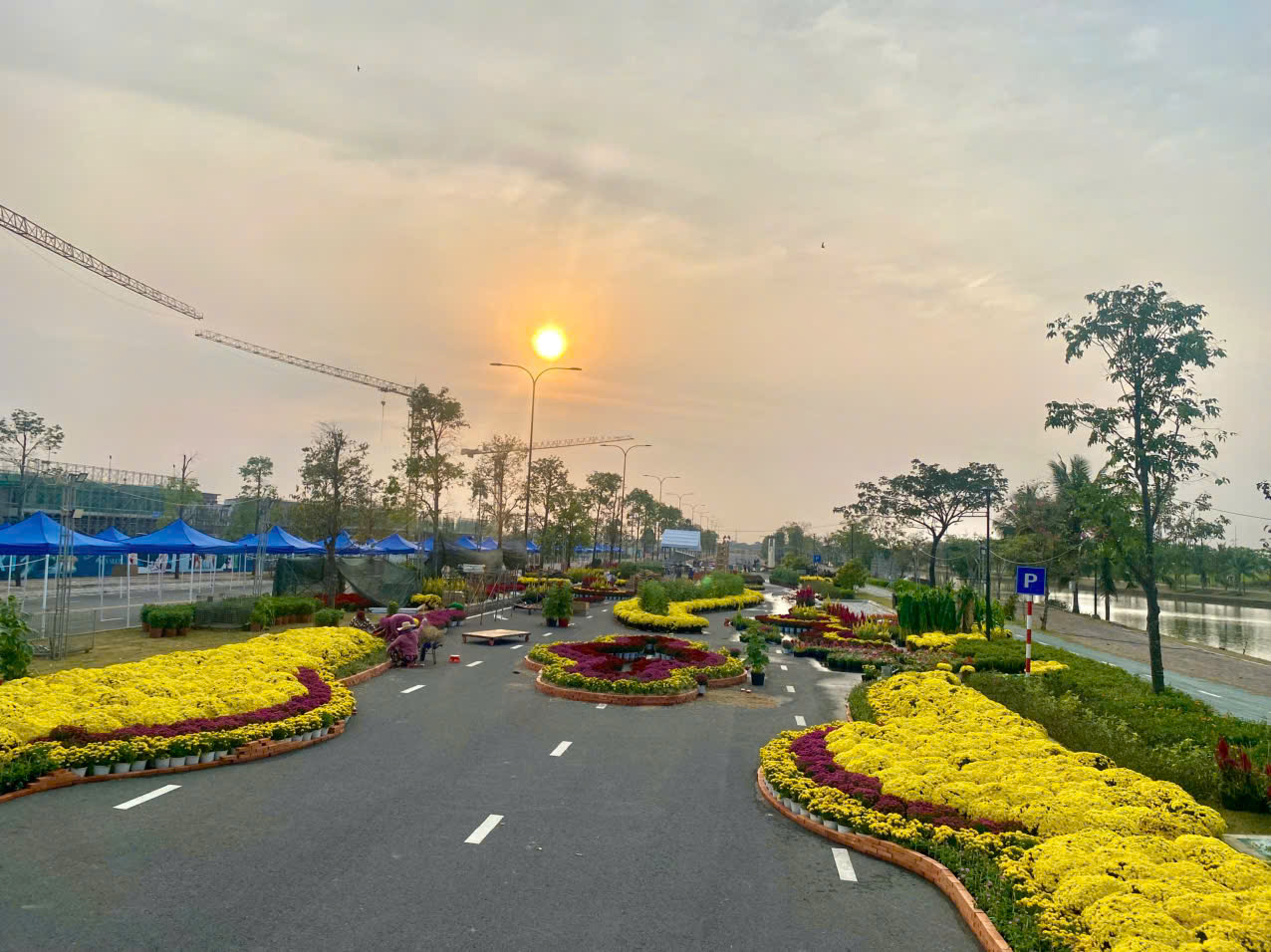 Đường hoa Waterpoint 2026: Hành trình sắc xuân “Trên bến dưới thuyền”
